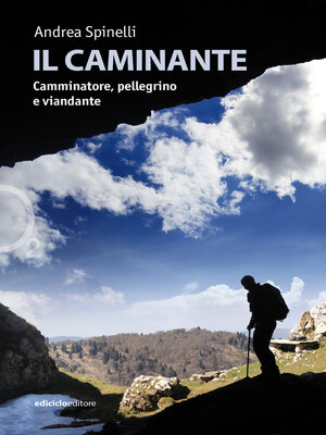 cover image of Il caminante